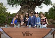 ABC's "The View" - Season 20 From Walt Disney World Resort - Source: Getty